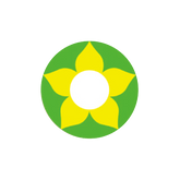 I-Contact Cosplay Halloween Contact Lenses Green Flower